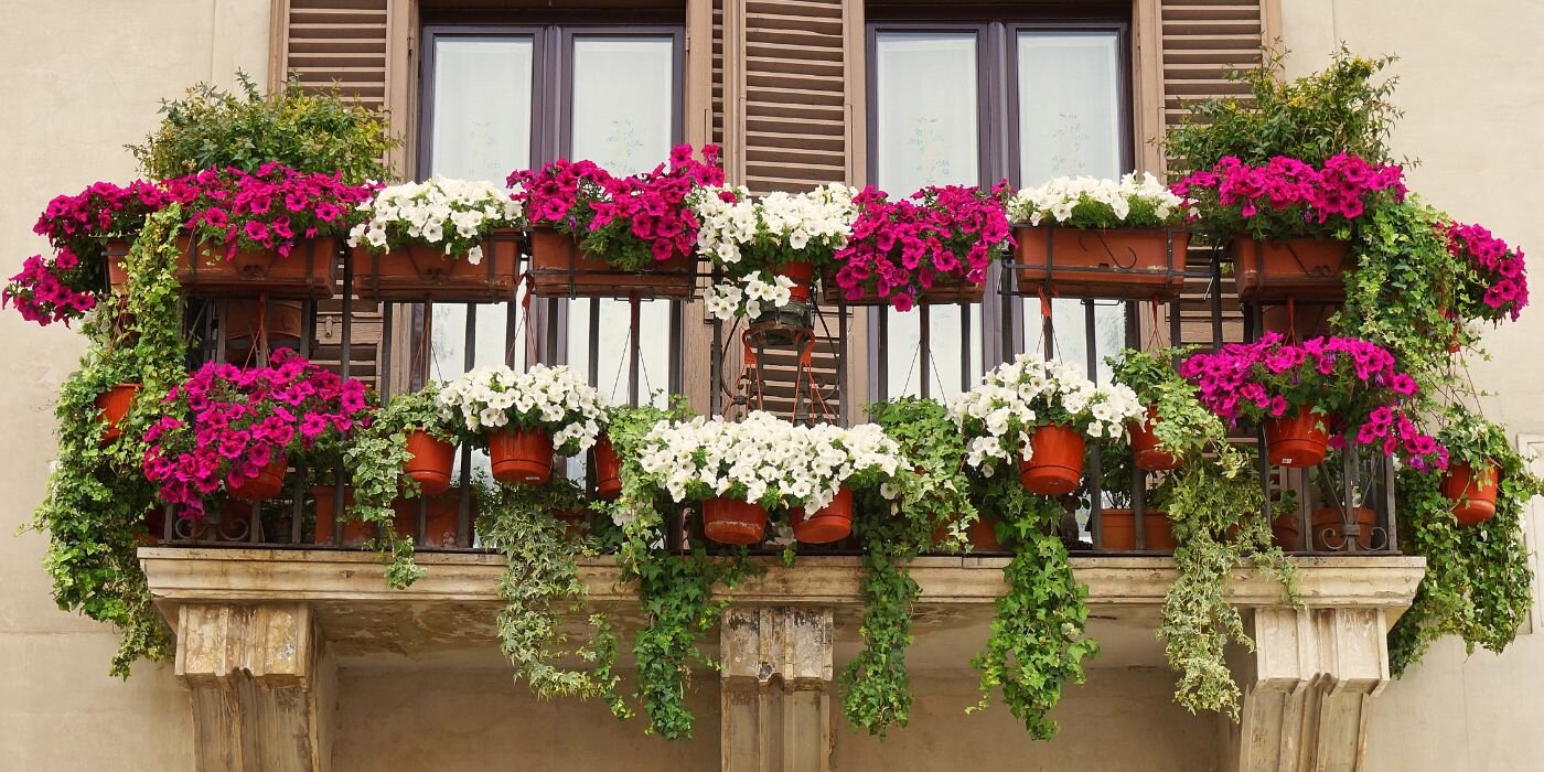 Balkonske rože